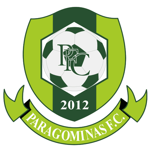 Escudo Paragominas