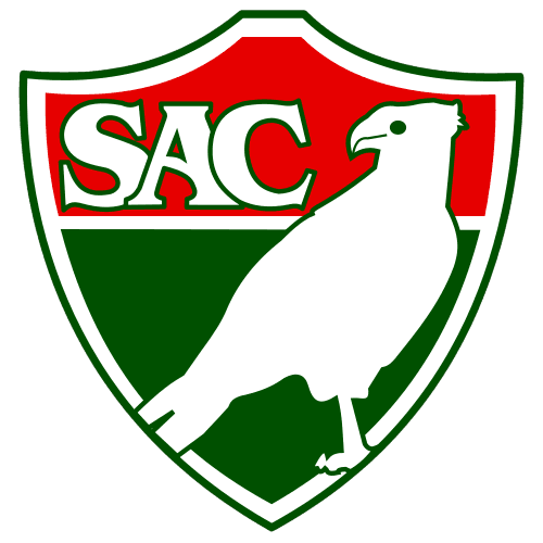 Escudo Salgueiro
