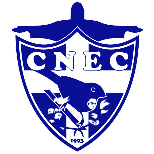 Escudo Cruzeiro Currais Novos
