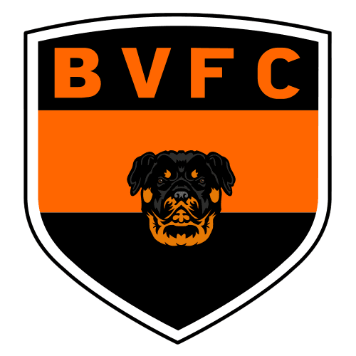 Escudo Bela Vista-TO